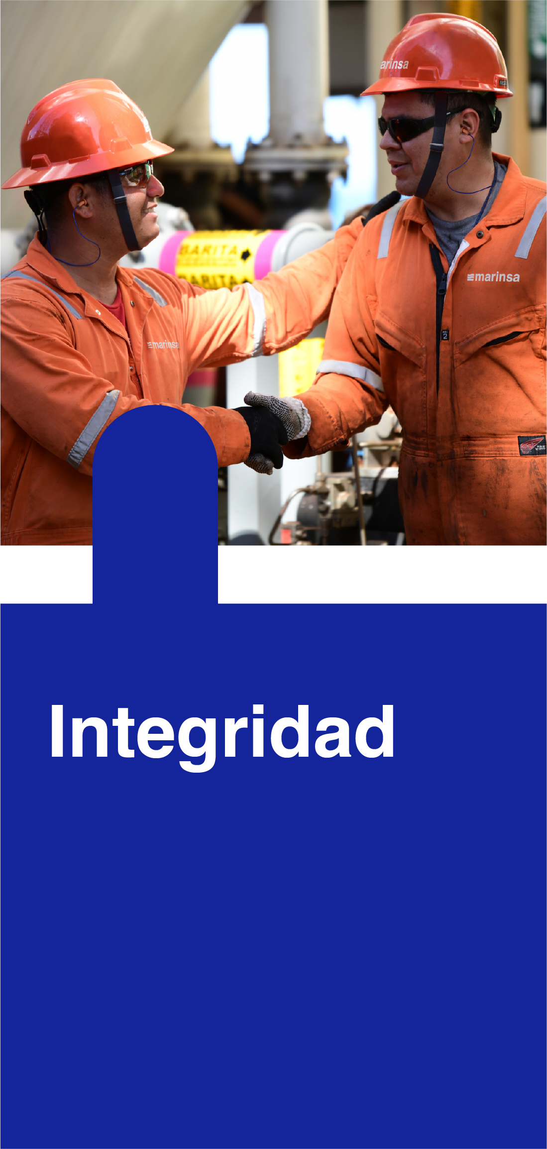 Integridad